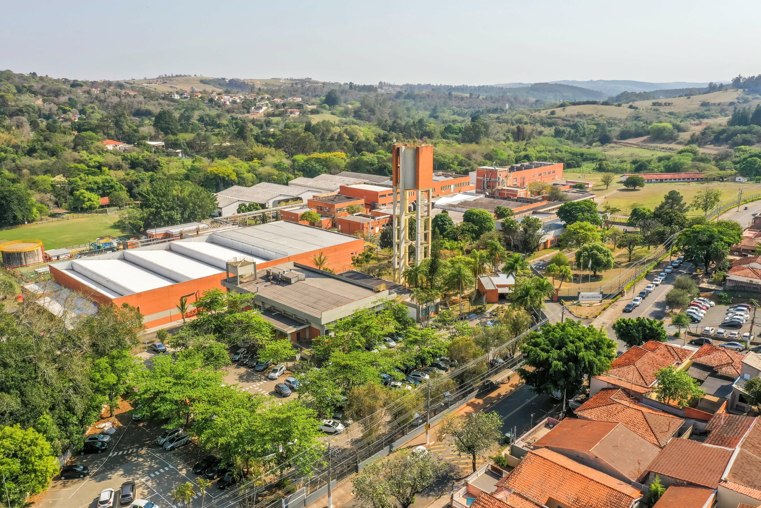 Campinas
