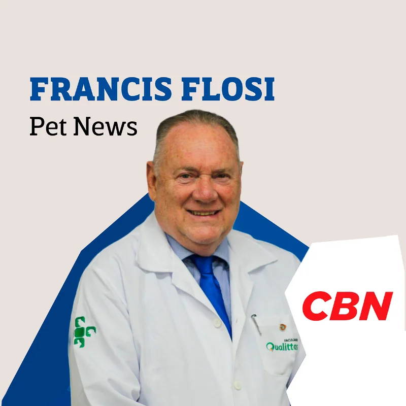 Como o cão-guia garante autonomia para pessoas com deficiência