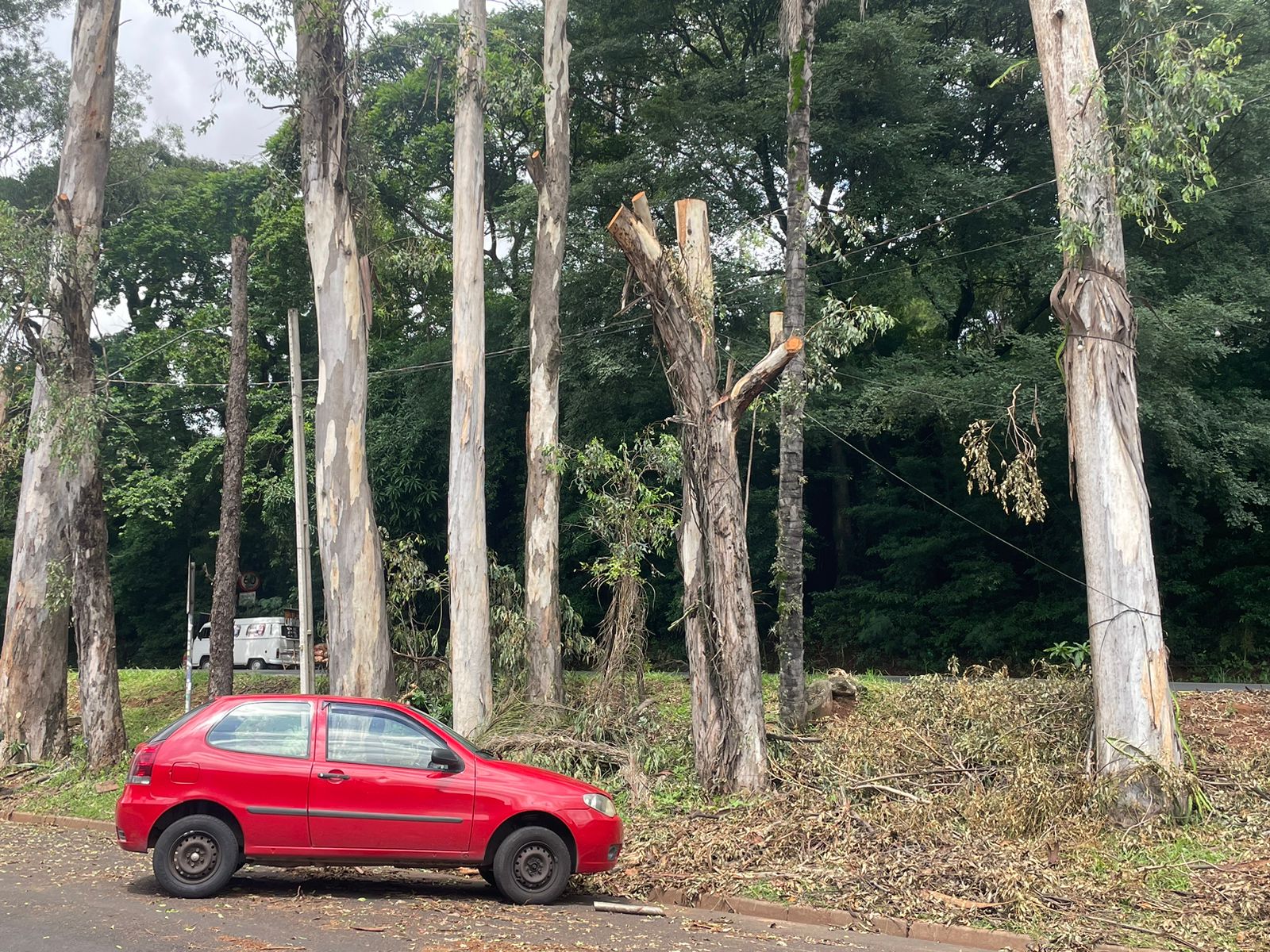 Barão