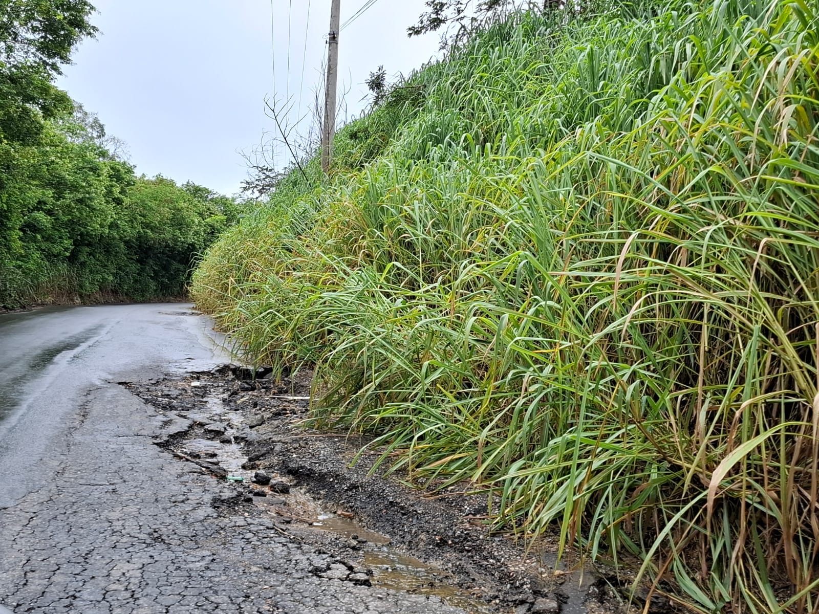 Buracos e trecho de alagamento deixam motoristas em alerta na Estrada do Mão Branca