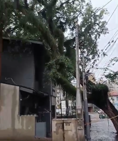 Cambuí