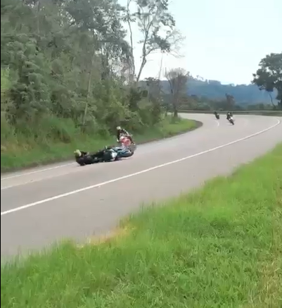 Tuiuti