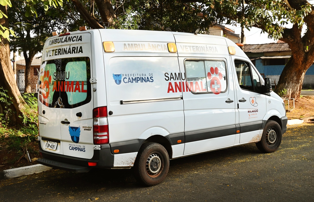 Veterinário