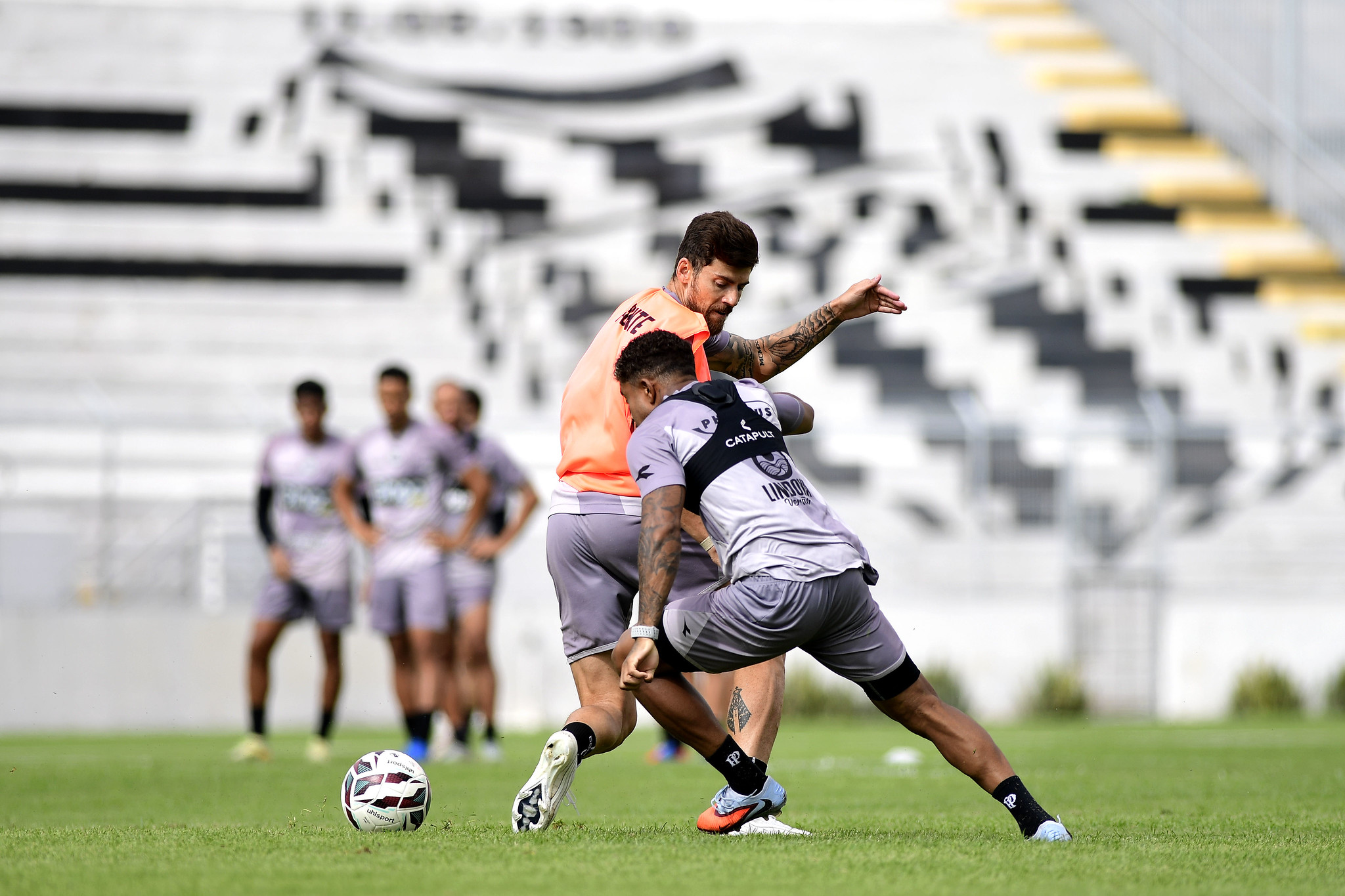 Em busca da primeira vitória na Série B, Ponte Preta enfrenta o Avaí