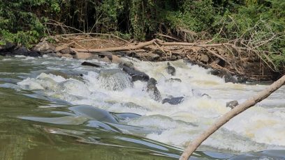 Cetesb: microalgas podem explicar mau cheiro na água de cinco cidades
