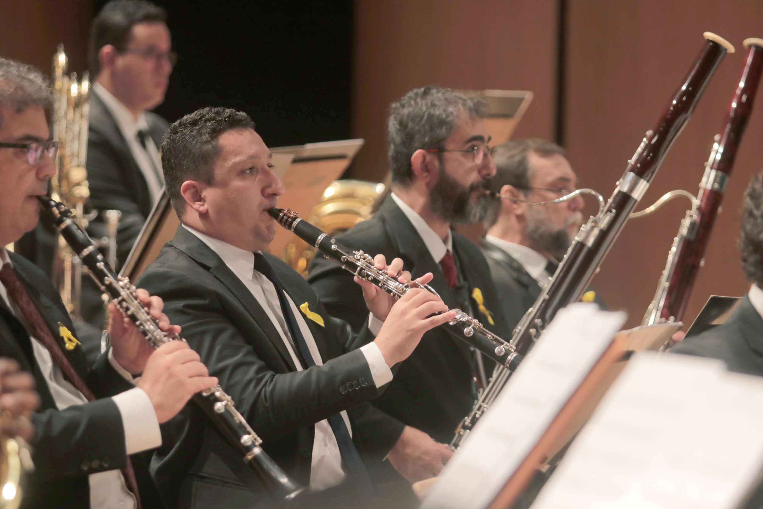 Sinfônica de Campinas faz concerto em homenagem à Academia de Letras