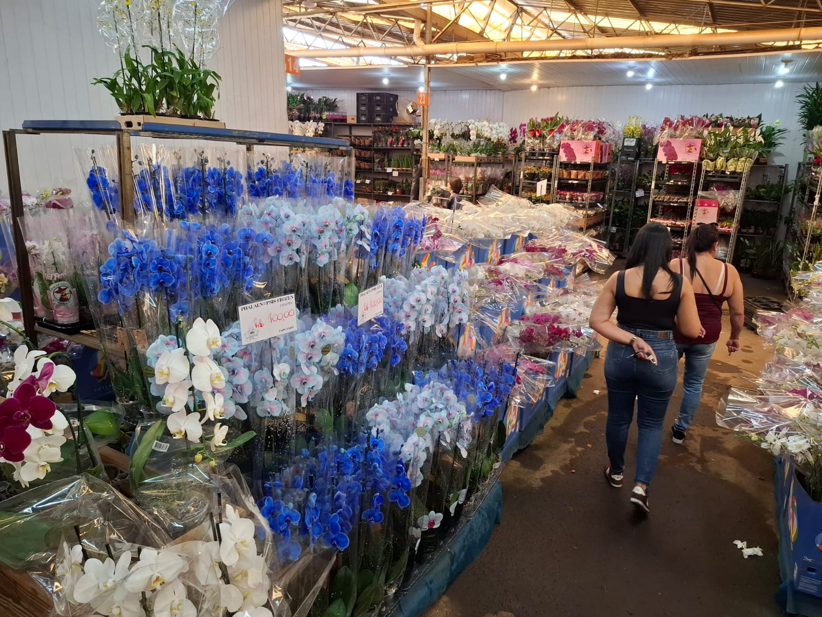 Dia das Mães deve movimentar R$ 288,1 milhões no comércio de Campinas