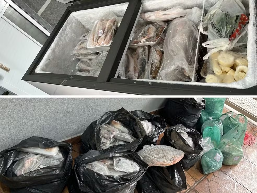 PM Ambiental flagra venda irregular de peixes e apreende mais de 215 kg em Americana 