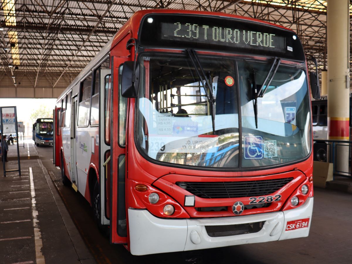 campinas