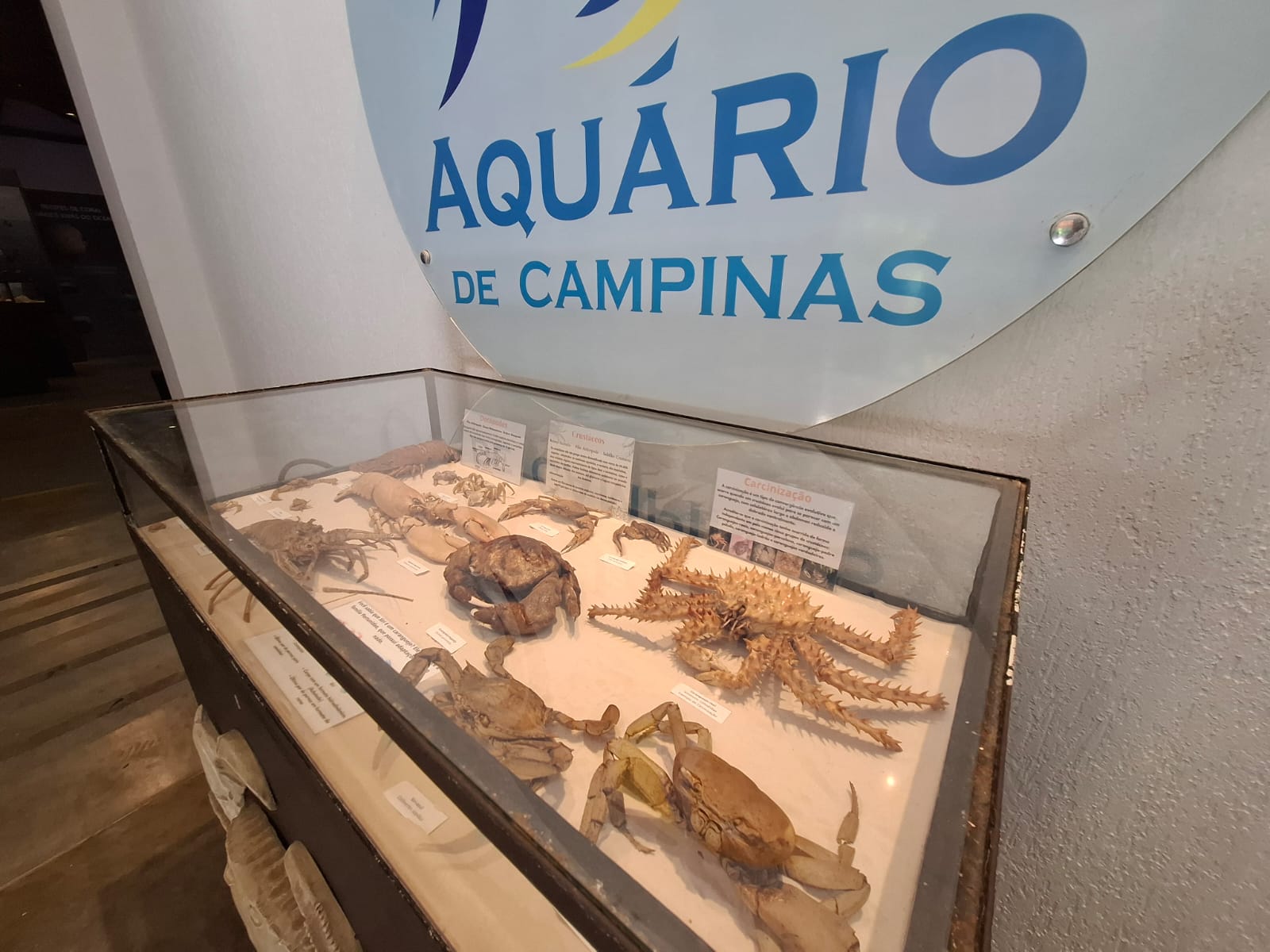 Aquário de Campinas