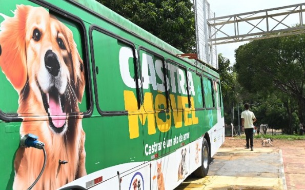 Campinas abre 1,5 mil vagas para castração e microchipagem gratuita de cães e gatos 