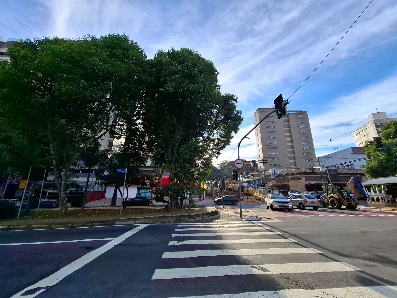 Poda de árvores na Princesa d’Oeste prepara trecho para avanço das obras de piscinão em Campinas