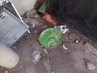 Idosa de 80 anos é resgatada em situação de abandono em Capivari