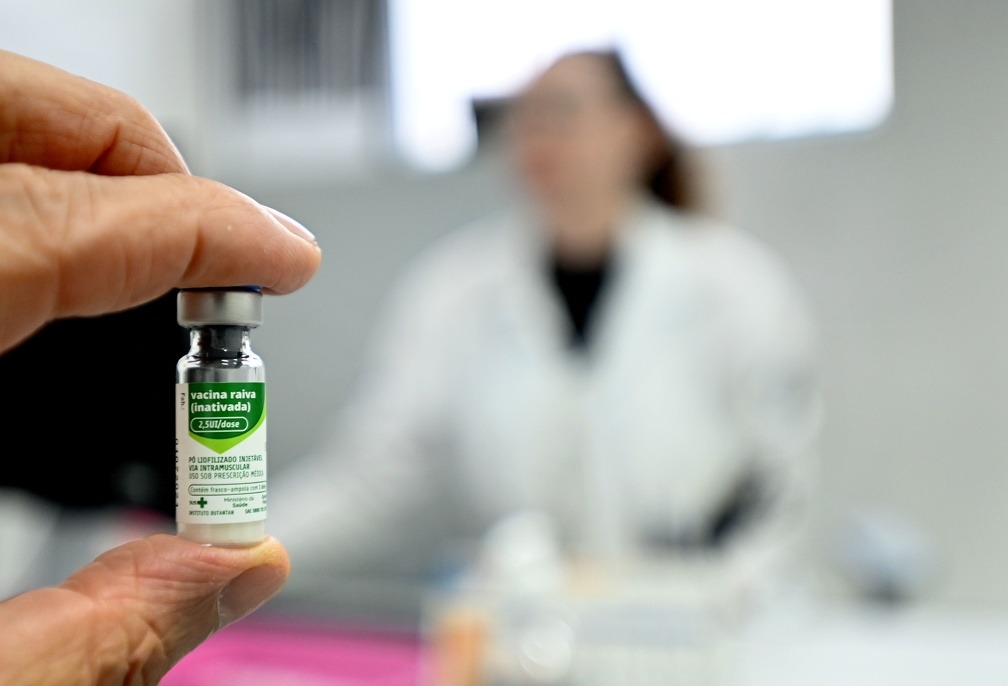 Campinas registra 1º caso de raiva em gato em 10 anos e busca pessoas que tiveram contato com o animal 