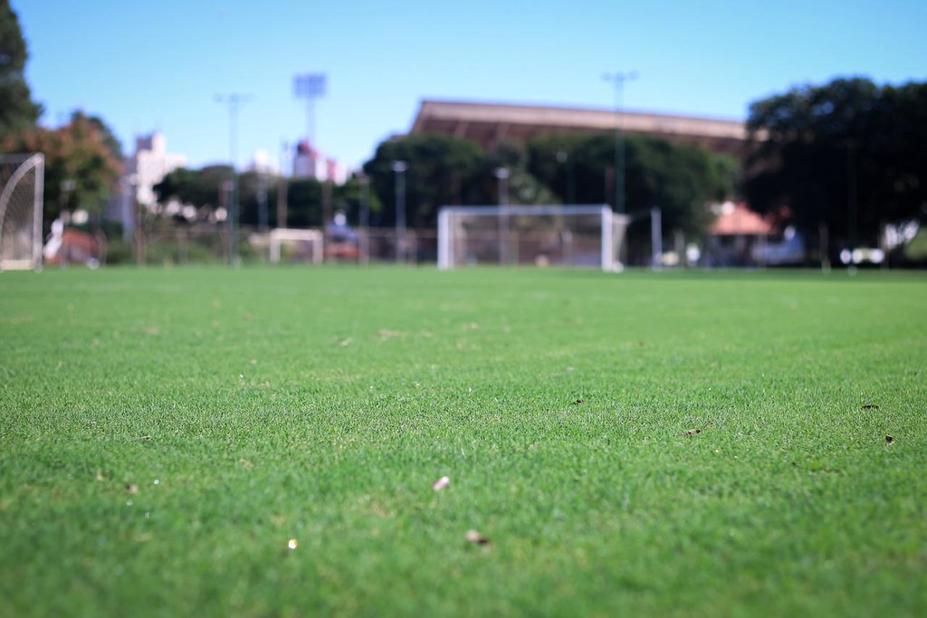 Após  paralisação, jogadores do Guarani retornam aos treinamentos