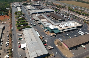 Ceasa