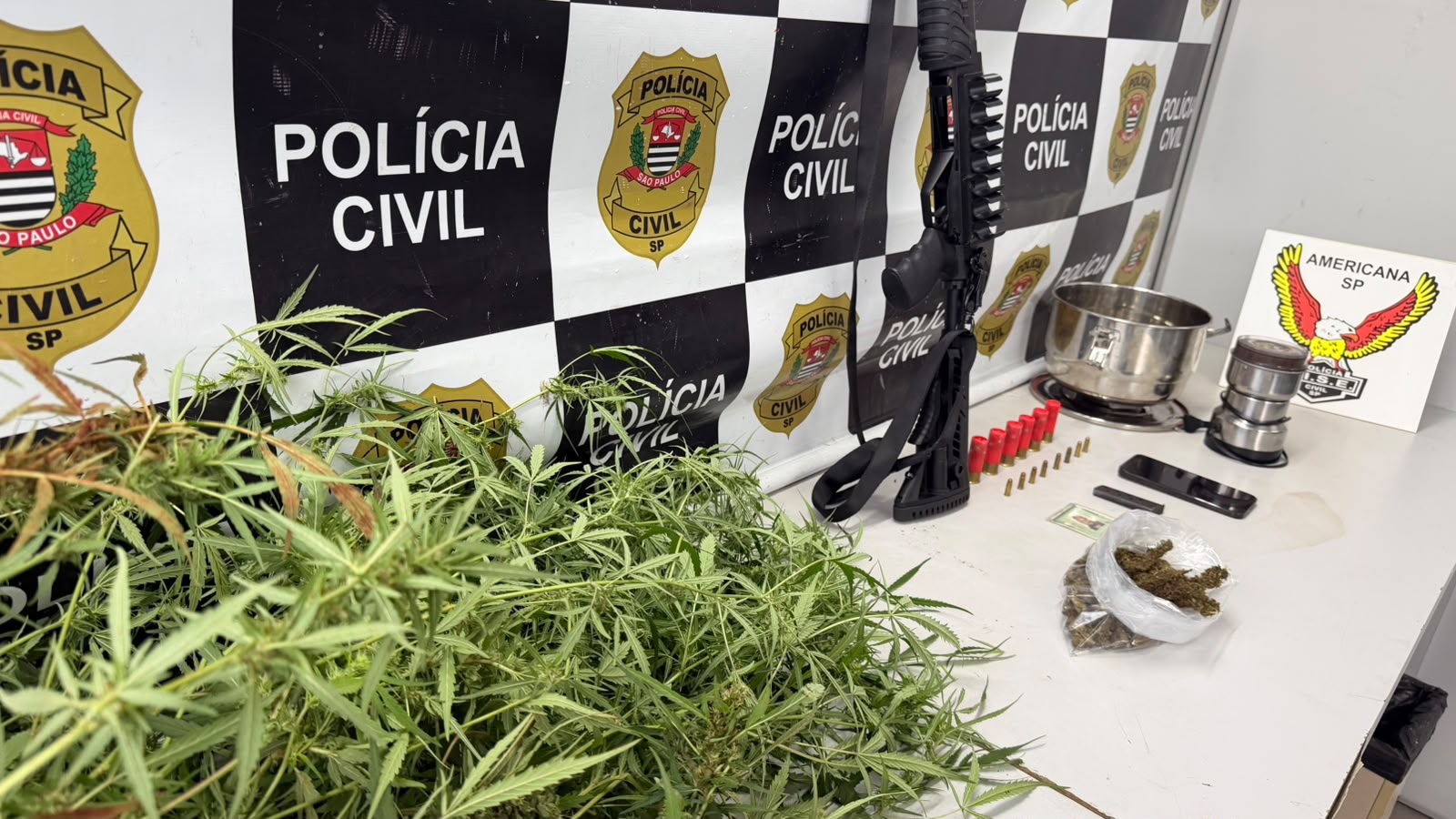 Polícia Civil prende empresário e apreende maconha e armas em chácara de Sumaré 