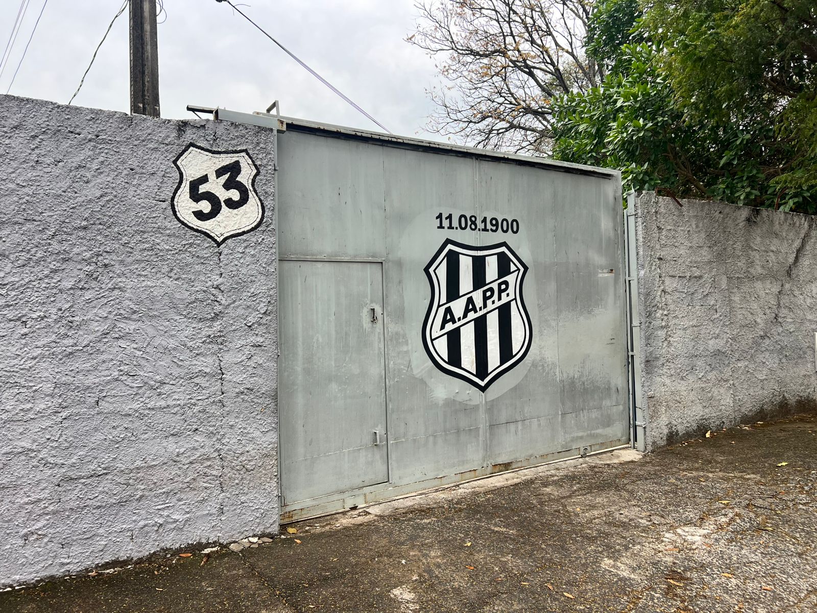 Advogado de jogadores da Ponte fala em respeito à instituição pela volta aos trabalhos