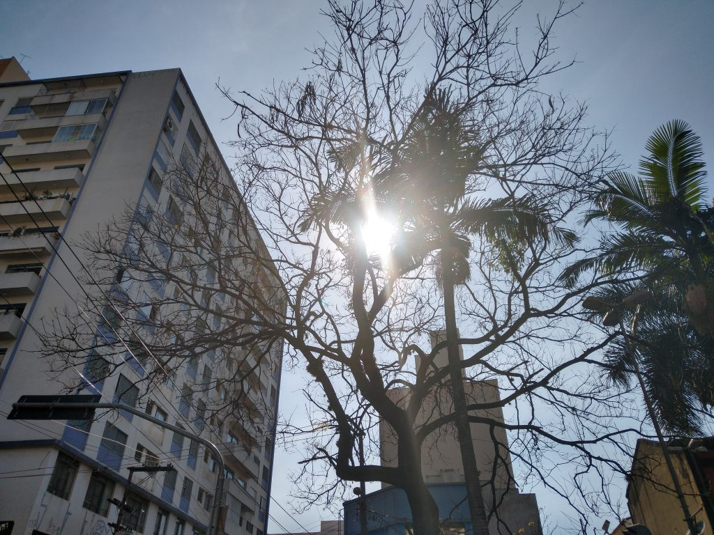 Primavera começa com chuva acima da média na região de Campinas