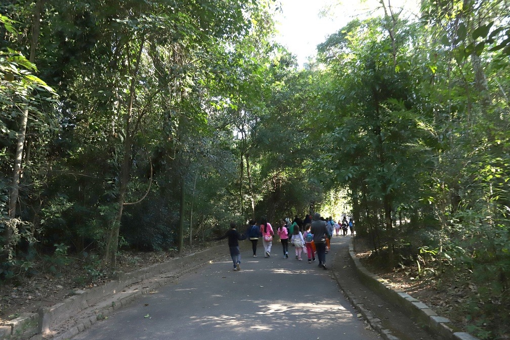 Prefeitura abre todos os parques e bosques de Campinas nesta quinta-feira