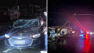 Temporal derruba árvores e provoca estragos em Estiva Gerbi