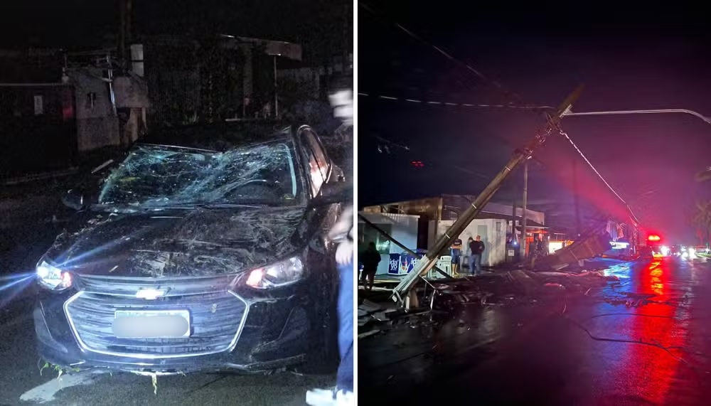 Temporal derruba árvores e provoca estragos em Estiva Gerbi