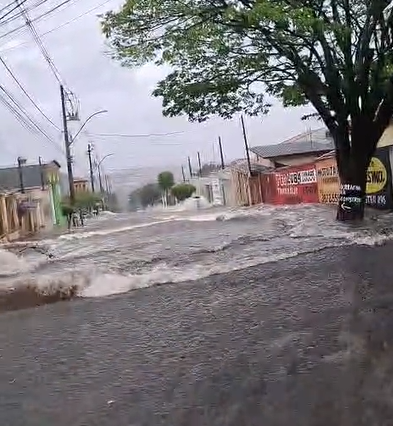 Cosmópolis