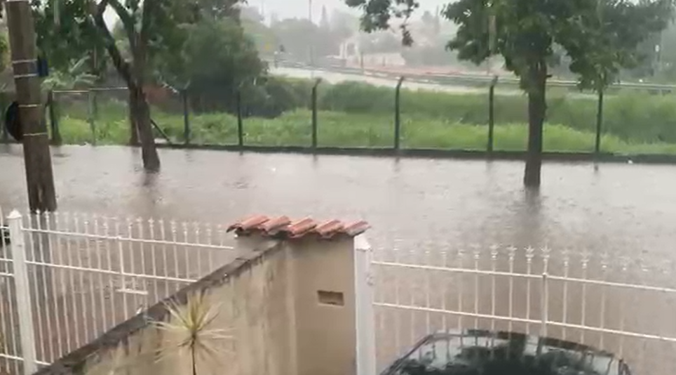 Campinas