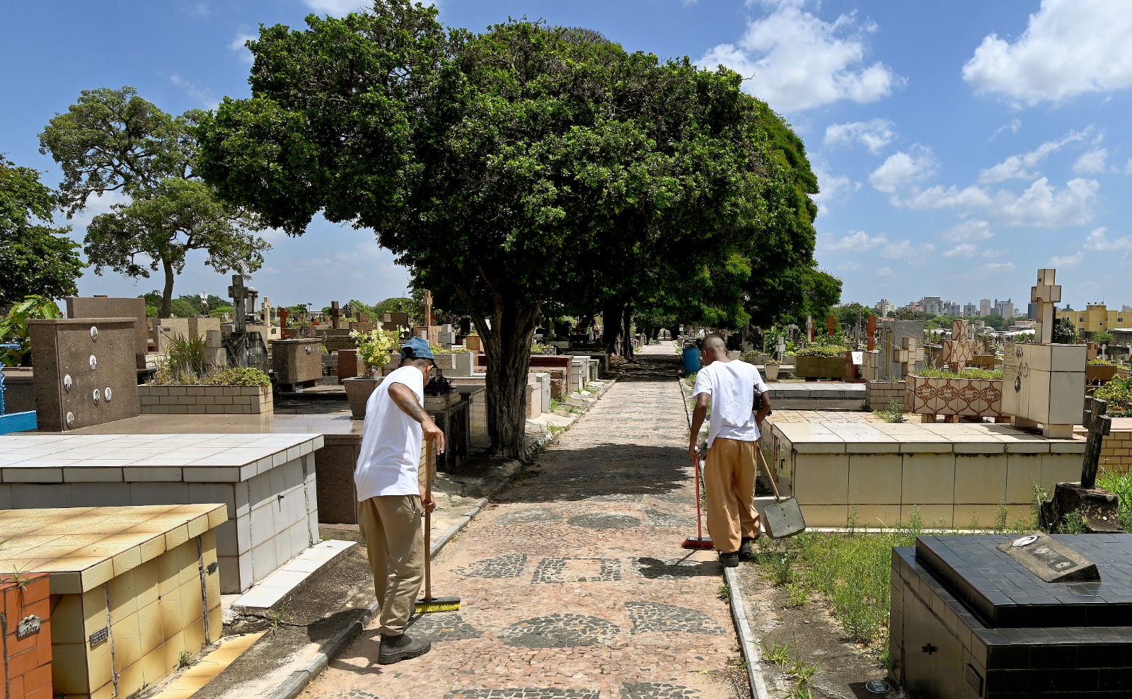 Finados