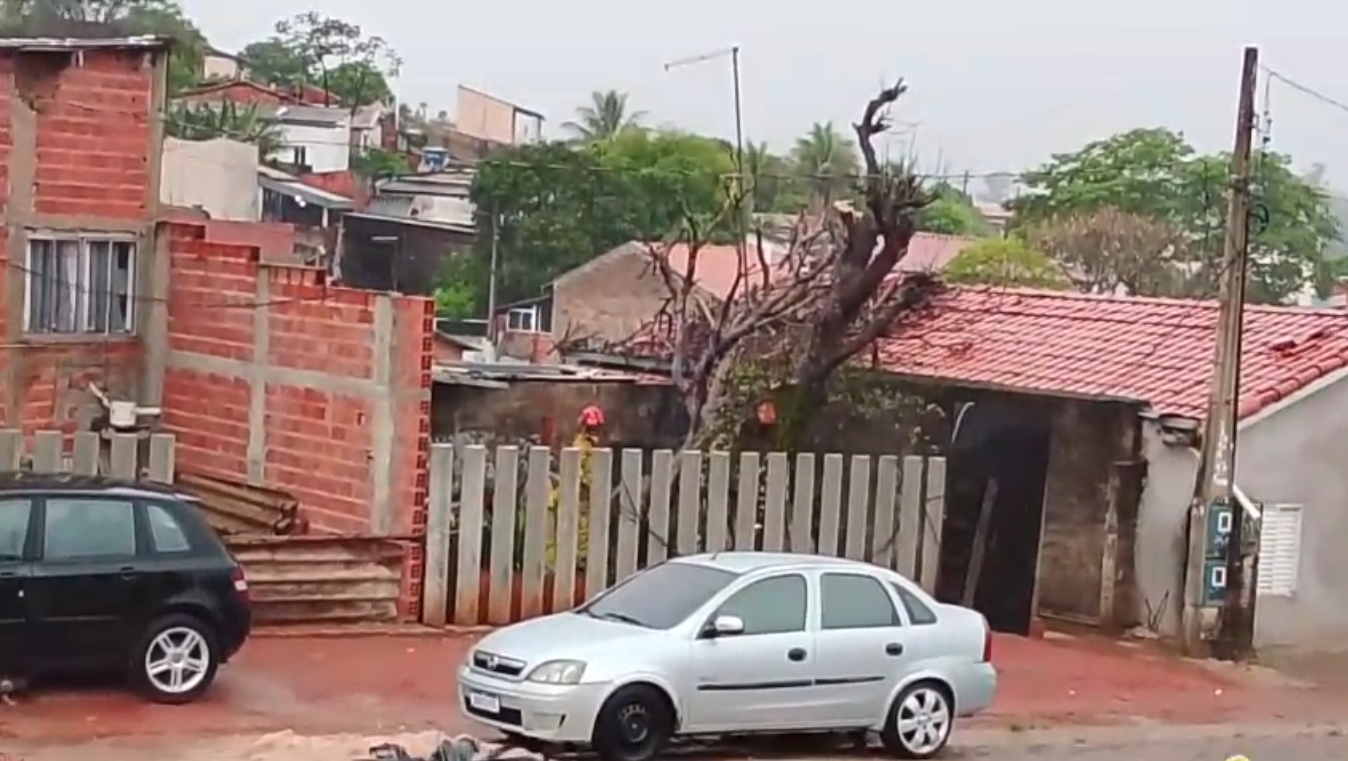 Chuva derruba quatro árvores e mobiliza equipes em Campinas 