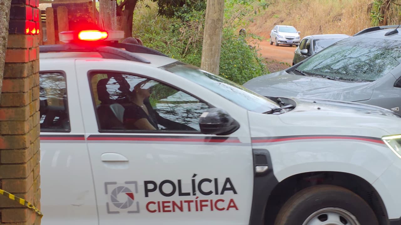 bosque das palmeiras