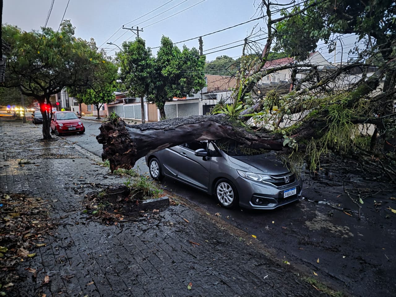 Temporal provoca queda de árvores, alagamentos e afeta voos no Aeroporto de Viracopos