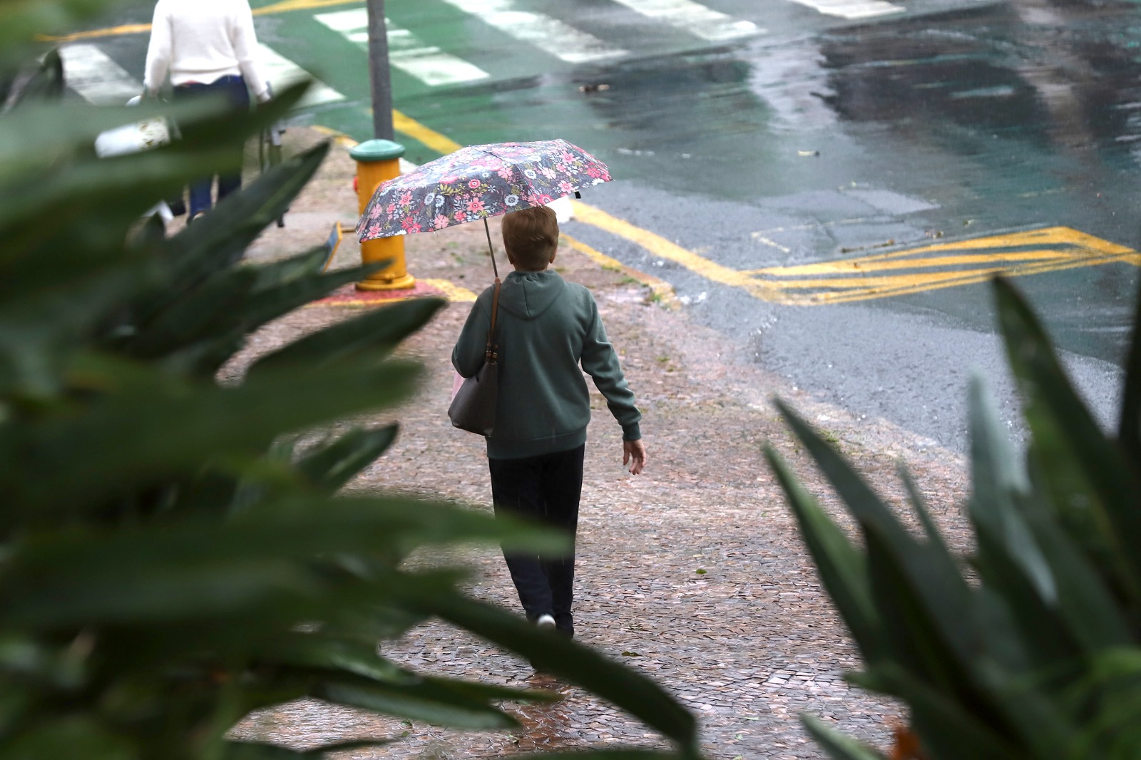 Defesa Civil antecipa início da Operação Chuvas de Verão para esta quarta-feira