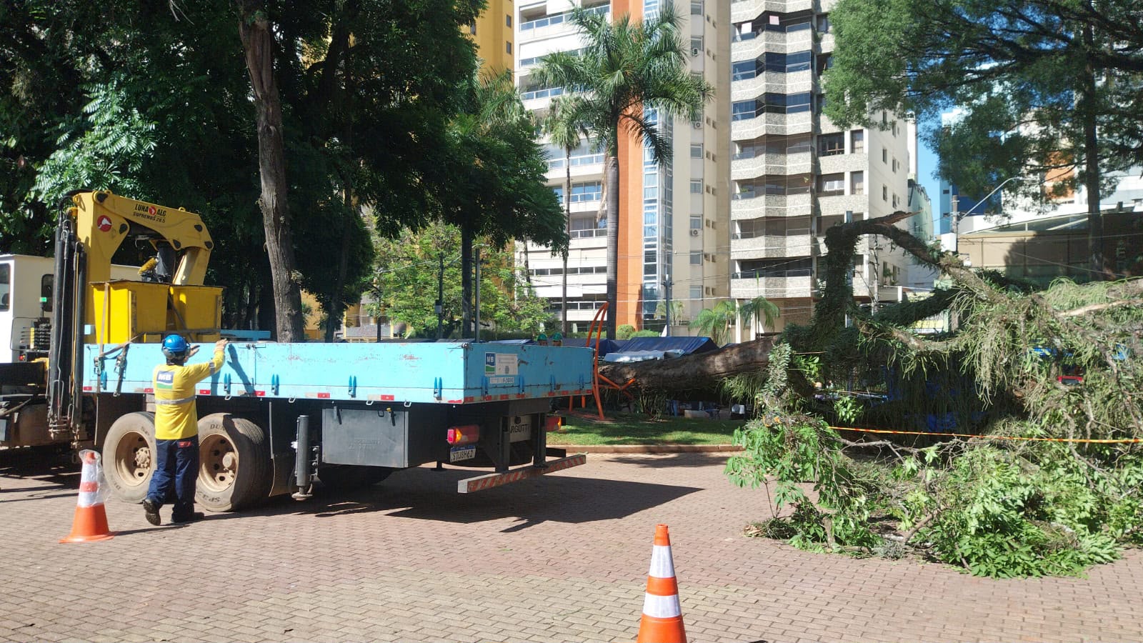 centro de convivência